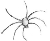 Play the Spider Run Game