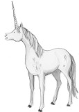 Play the Unicorn Maze