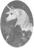 Play the Unicorn Puzzle Game